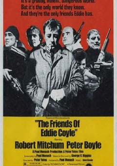 1973年美国经典悬疑犯罪片《线人》蓝光英语中字