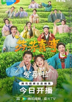 2025年国产大陆电视剧《芬芳喜事》全32集