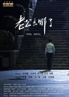 2019年国产喜剧爱情片《老公去哪了》HD国语中字
