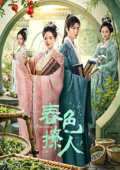 2025年国产大陆电视剧《春色撩人》全25集