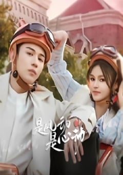 2025年国产大陆电视剧《是风动、是心动》全24集