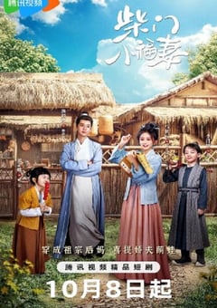 2025年国产大陆电视剧《柴门小福妻》全24集