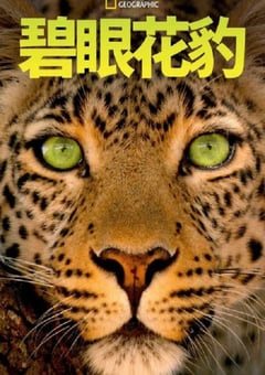 2020年美国纪录片《碧眼花豹》HD英语中字