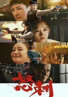 2025年国产大陆电视剧《怒刺》全30集