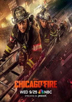 2024年美国电视剧《芝加哥烈焰 第十三季》全22集