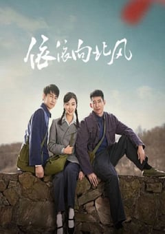 2025年国产大陆电视剧《依依向北风》连载至02