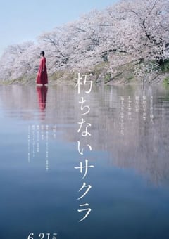2024年日本悬疑剧情片《不朽的樱花》BD日语中字