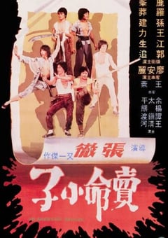 1979年中国香港经典动作片《卖命小子》HD国语中字