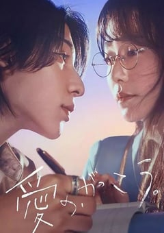 2025年日本电视剧《爱的学校。》全11集