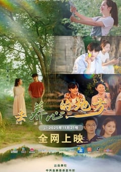 2025年国产大陆电视剧《去养心的地方》全12集