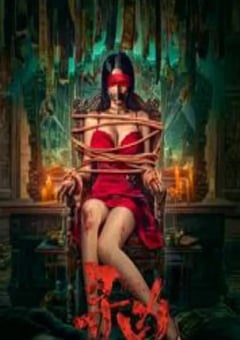 2025年国产悬疑片《寻凶》HD国语中字