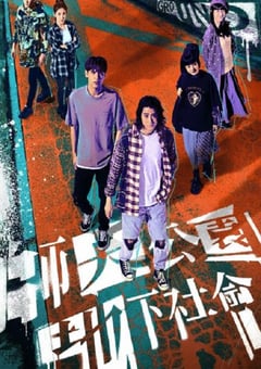 2025年中国台湾电视剧《师大公园地下社会》全11集