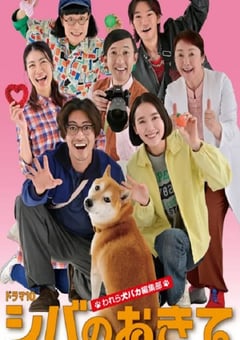 2025年日本电视剧《柴犬的规矩~我们这群狗痴编辑部~》连载至04