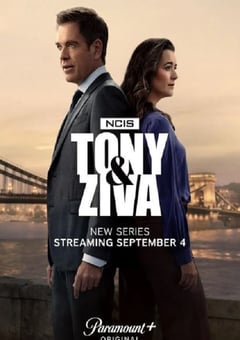 2025年美国电视剧《海军罪案调查处:欧洲喋血篇》全10集