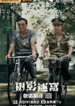 2025年国产大陆电视剧《树影迷宫》连载至06