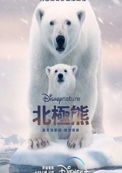 2022年美国纪录片《北极熊》HD国粤英三语中字