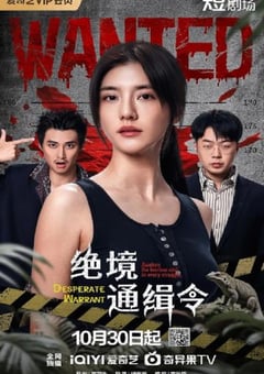 2025年国产大陆电视剧《绝境通缉令》全24集