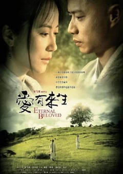 2009年国产经典爱情片《爱有来生》HD国语中字