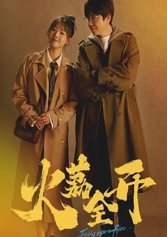 2025年国产大陆电视剧《火荔全开》全22集