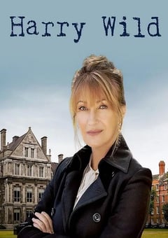 2022年爱尔兰电视剧《野探哈莉 第一季》全8集