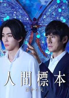2025年日本电视剧《人类标本》全5集