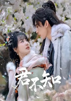 2025年国产大陆电视剧《君不知》全24集