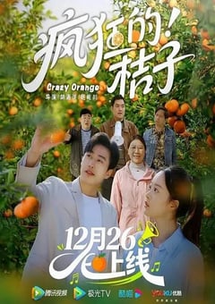 2025年国产大陆电视剧《疯狂的桔子》全16集