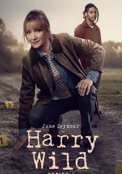 2025年爱尔兰电视剧《野探哈莉 第四季》全8集