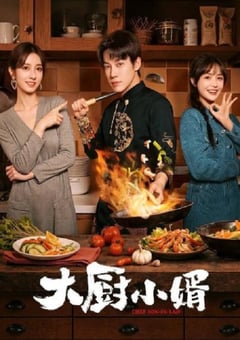 2025年国产大陆电视剧《大厨小婿》全24集