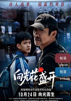 2025年国产剧情《向光花盛开》HD国语中字