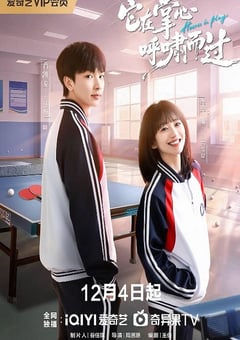 2025年国产大陆电视剧《它在掌心,呼啸而过 》全16集