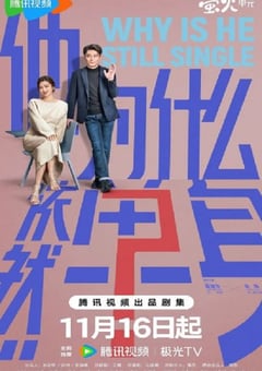 2025年国产大陆电视剧《他为什么依然单身》全16集