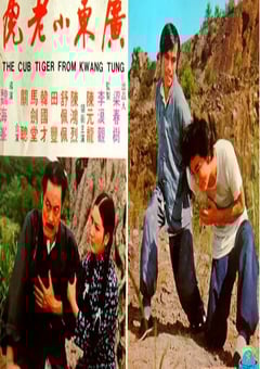 1973年中国香港经典喜剧片《广东小老虎》蓝光国语中字