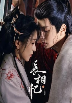2025年国产大陆电视剧《长相忆之灯冶未央》连载至12