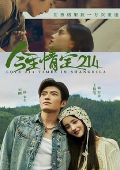 2025年国产大陆电视剧《今生情定214》全24集