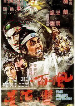 1976年中国香港经典武侠片《风雨双流星》蓝光国语中字