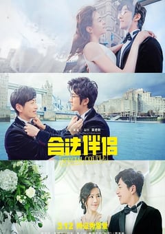 2019年国产喜剧片《合法伴侣》HD国语中字