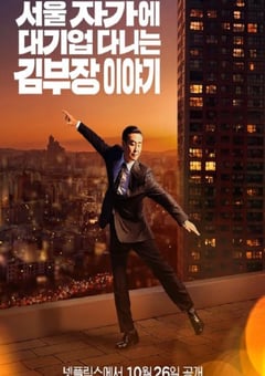 2025年韩国电视剧《金部长的梦想人生》全12集