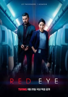 2024年英国电视剧《深夜航班 第一季》全6集