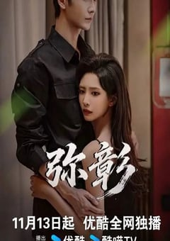 2025年国产大陆电视剧《弥彰》全20集