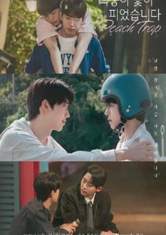 2025年韩国电视剧《桃花开好了》全8集