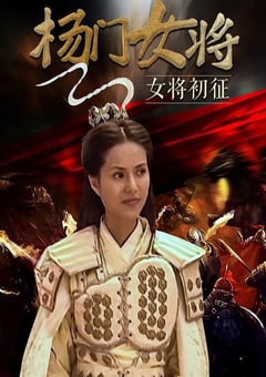 2001年国产经典武侠片《杨门女将之女将初征》HD国语无字