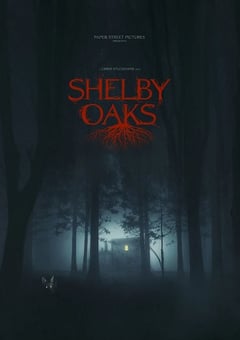 2024年美国惊悚片《寻踪迷镇》BD中英双字