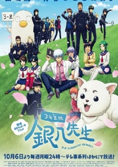 2025年日本动漫《3年Z组银八老师》全12集
