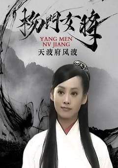 2001年国产经典武侠片《杨门女将之天波府风波》HD国语无字