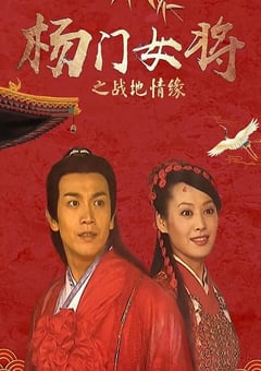 2001年国产经典武侠片《杨门女将之战地情缘》HD国语无字