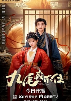 2026年国产大陆电视剧《九尾藏不住》连载至16