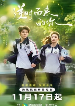2025年国产大陆电视剧《逆时而来的你》全32集