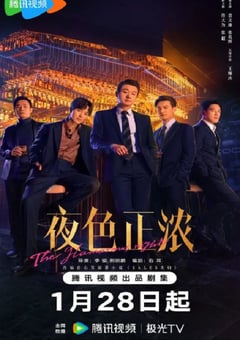 2026年国产大陆电视剧《夜色正浓》连载至07