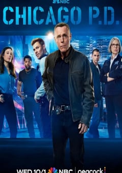 2025年美国电视剧《芝加哥警署 第十三季》全11集
